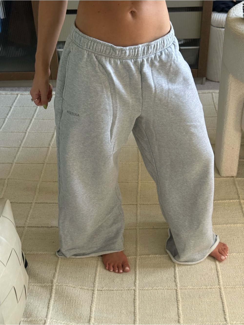 ARITZIA wide leg sweatpants